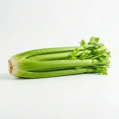 AI Scan of Calories in Celery